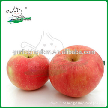 Neue Ernte rote Gala Apfel / chinesische Apfelfrucht / Gala aus China